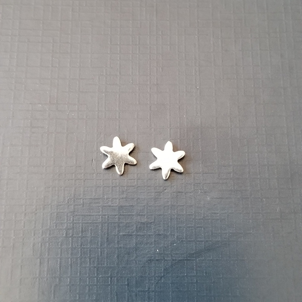 NWT Stainless Steel Star flower Earrings gift